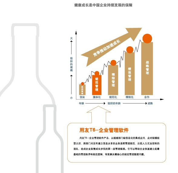 用友畅捷通T6
