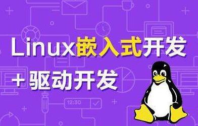 你应当从事嵌入式开发还是软件工程开发？