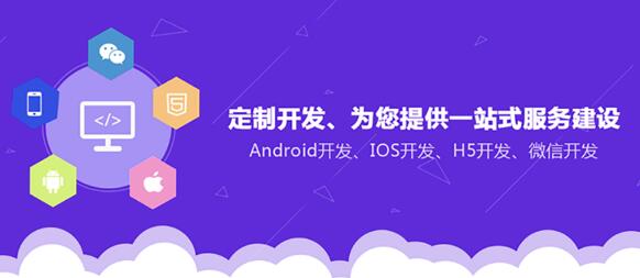 软件开发定制